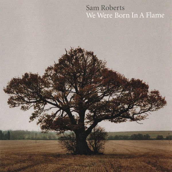 We Were Born In A Flame cover